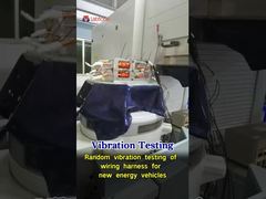Vibration Test System